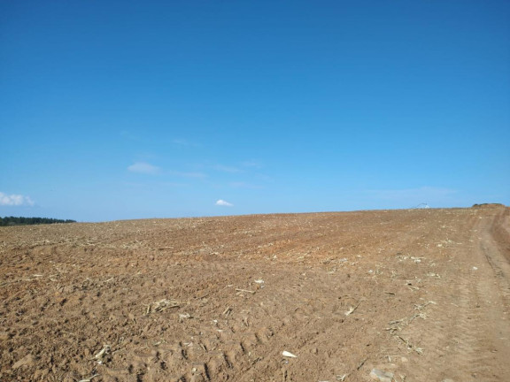 Imagem Fazenda à Venda, 70 m² em Rural - Itapetininga Imagem Fazenda à Venda, 70 m² em Rural - Itapetininga