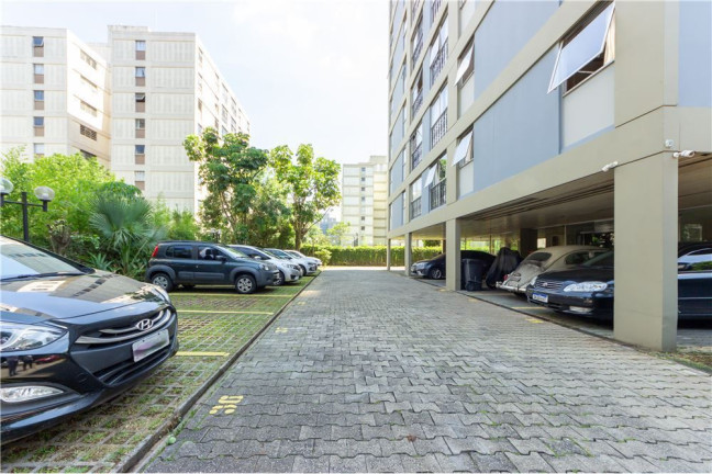 Imagem Apartamento com 3 Quartos à Venda, 78 m² em Vila Campestre - São Paulo Imagem Apartamento com 3 Quartos à Venda, 78 m² em Vila Campestre - São Paulo