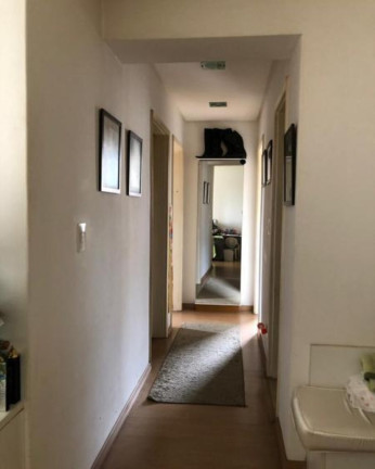 Imagem Apartamento com 3 Quartos à Venda, 61 m² em Cambuci - São Paulo Imagem Apartamento com 3 Quartos à Venda, 61 m² em Cambuci - São Paulo