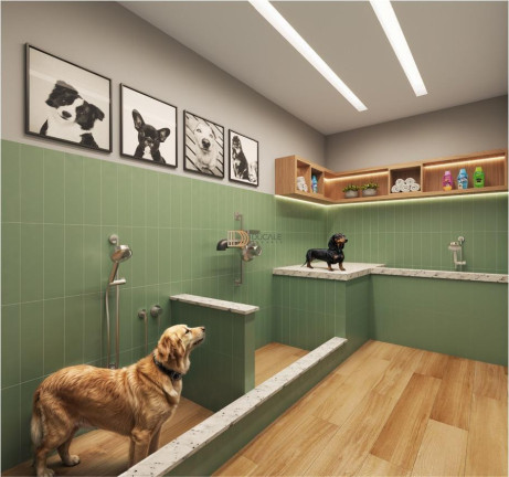 Imagem Apartamento com 3 Quartos à Venda, 85 m² em Jardim Da Penha - Vitória Imagem Apartamento com 3 Quartos à Venda, 85 m² em Jardim Da Penha - Vitória