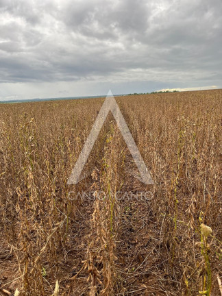 Imagem Imóvel à Venda, 162 m² em Zona Rural - Tapurah Imagem Imóvel à Venda, 162 m² em Zona Rural - Tapurah