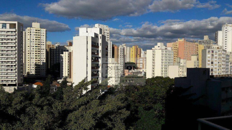 Imagem Apartamento para Alugar, 56 m² em Vila Itapura - Campinas