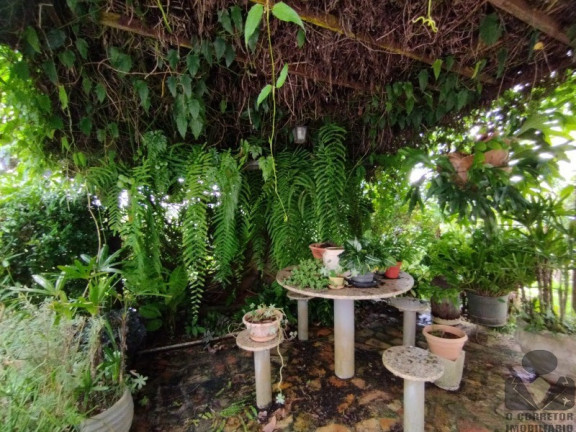 Imagem Imóvel com 3 Quartos à Venda, 32.000 m² em Santo Antonio Do Leite - Ouro Preto