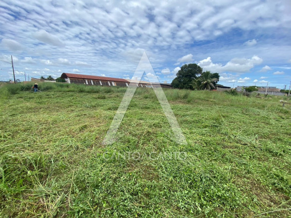 Imagem Terreno à Venda, 5.000 m² em Setor Industrial - Sinop Imagem Terreno à Venda, 5.000 m² em Setor Industrial - Sinop
