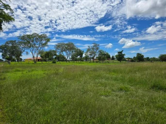 Imagem Fazenda à Venda, 11 m² em Ponte Rio Palmeiral - Mundo Novo Imagem Fazenda à Venda, 11 m² em Ponte Rio Palmeiral - Mundo Novo