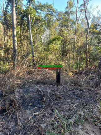 Imagem Chácara à Venda, 20.000 m² em Centro - Monteiro Lobato Imagem Chácara à Venda, 20.000 m² em Centro - Monteiro Lobato