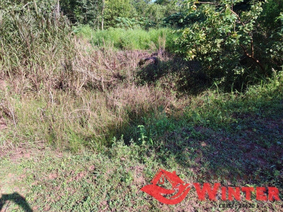 Imagem Chácara à Venda, 21.582 m² em Feliz Imagem Chácara à Venda, 21.582 m² em Feliz