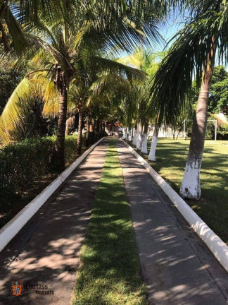 Imagem Chácara com 3 Quartos à Venda, 170 m² em Zona Rural - Três Fronteiras Imagem Chácara com 3 Quartos à Venda, 170 m² em Zona Rural - Três Fronteiras