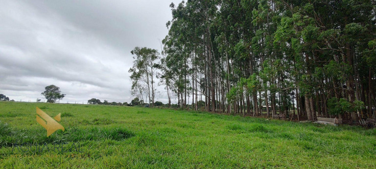 Imagem Chácara à Venda, 300 m² em Mata Do Segredo - Campo Grande Imagem Chácara à Venda, 300 m² em Mata Do Segredo - Campo Grande