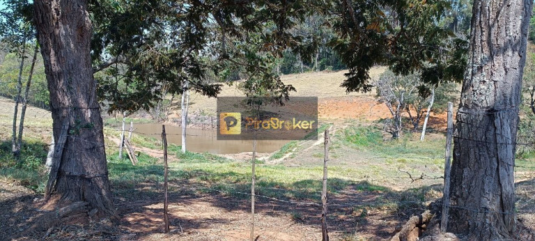 Imagem Imóvel com 3 Quartos à Venda, 532.400 m² em Itaqueri Da Serra - Itirapina
