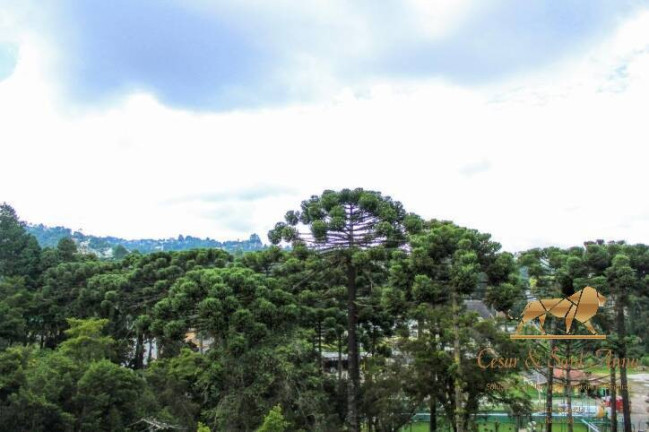 Imagem Apartamento com 3 Quartos à Venda, 180 m² em Morro Do Elefante - Campos Do Jordão