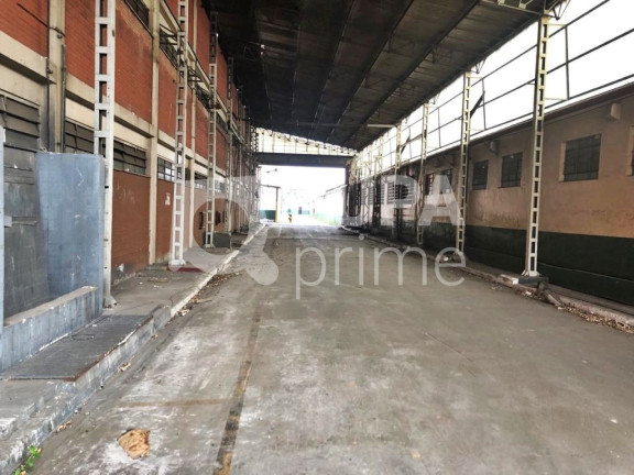 Imagem Terreno à Venda, 28.820 m² em Vila Maria Baixa - São Paulo Imagem Terreno à Venda, 28.820 m² em Vila Maria Baixa - São Paulo