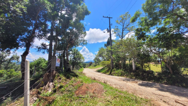 Imagem Fazenda à Venda,  em Imbuial - Campina Grande Do Sul