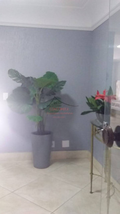 Imagem Apartamento com 2 Quartos à Venda, 45 m² em Jardim Santa Terezinha (zona Leste) - São Paulo Imagem Apartamento com 2 Quartos à Venda, 45 m² em Jardim Santa Terezinha (zona Leste) - São Paulo