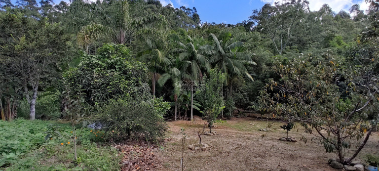 Imagem Imóvel com 4 Quartos à Venda, 7.000 m² em Loro - Major Gercino