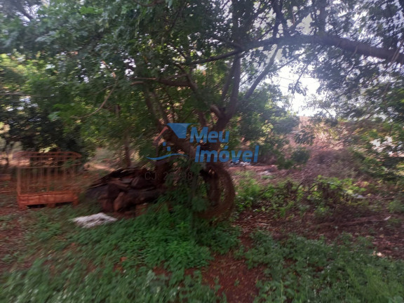 Imagem Imóvel com 4 Quartos à Venda, 135 m² em Mansões De Recreio Estrela Dalva Vi - Luziânia Imagem Imóvel com 4 Quartos à Venda, 135 m² em Mansões De Recreio Estrela Dalva Vi - Luziânia