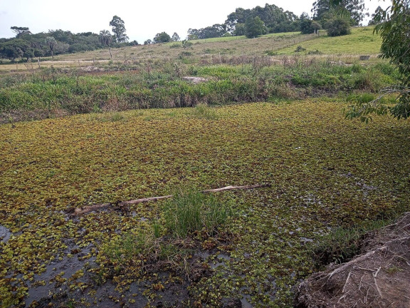 Imagem Chácara à Venda, 10.000 m² em águas Claras - Viamão Imagem Chácara à Venda, 10.000 m² em águas Claras - Viamão