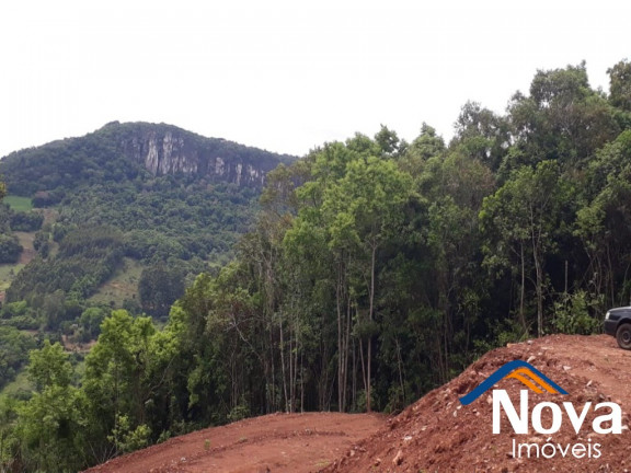 Imagem Imóvel à Venda, 31.701 m² em Linha Pirajá Baixa - Nova Petrópolis