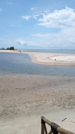 Imagem Terreno à Venda, 205 m² em Jaguaripe Imagem Terreno à Venda, 205 m² em Jaguaripe