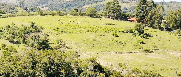 Imagem Fazenda à Venda, 1.016 m² em Bairro Dos Leites - Piedade Imagem Fazenda à Venda, 1.016 m² em Bairro Dos Leites - Piedade