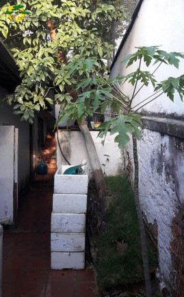 Imagem Sobrado com 6 Quartos à Venda, 300 m² em Lauzane Paulista - São Paulo
