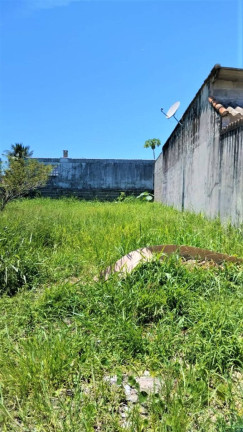 Imagem Terreno à Venda, 250 m² em Balneário Monte Carlo - Ilha Comprida Imagem Terreno à Venda, 250 m² em Balneário Monte Carlo - Ilha Comprida