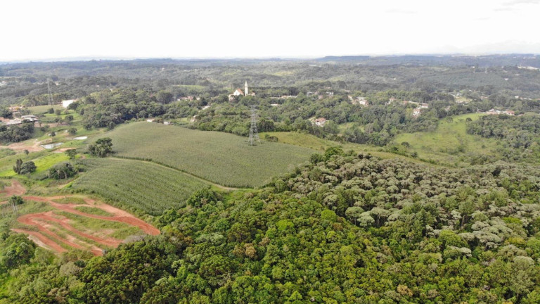 Imagem Terreno à Venda, 19.600 m² em Colônia Faria - Colombo Imagem Terreno à Venda, 19.600 m² em Colônia Faria - Colombo