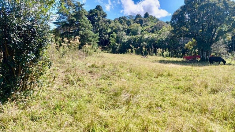 Imagem Fazenda à Venda, em Zona Rural (bugre) - Balsa Nova Imagem Fazenda à Venda, em Zona Rural (bugre) - Balsa Nova