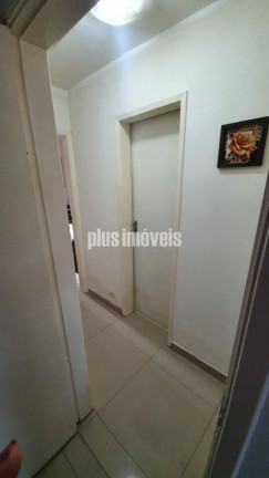 Imagem Apartamento com 3 Quartos à Venda, 81 m² em Vila Ipojuca - São Paulo