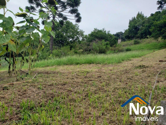 Imagem Imóvel à Venda, 600 m² em Linha Imperial - Nova Petrópolis Imagem Imóvel à Venda, 600 m² em Linha Imperial - Nova Petrópolis