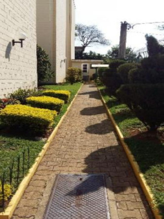 Imagem Apartamento com 2 Quartos à Venda, 50 m² em Parque São Luís - São Paulo