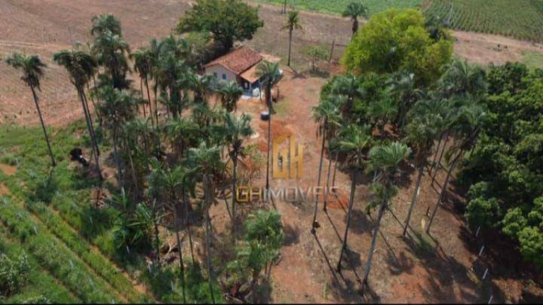 Imagem Chácara à Venda, 12.600 m² em Loteamento Jardim Santa Paula - Petrolina De Goiás