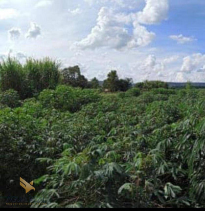 Imagem Chácara com 2 Quartos à Venda, 32.000 m² em Conjunto José Abrão - Campo Grande Imagem Chácara com 2 Quartos à Venda, 32.000 m² em Conjunto José Abrão - Campo Grande