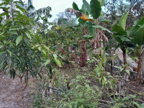 Imagem Chácara à Venda, 1.800 m² em Guaraguaçu - Pontal Do Paraná Imagem Chácara à Venda, 1.800 m² em Guaraguaçu - Pontal Do Paraná