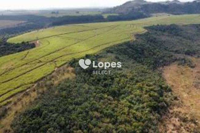 Imagem Imóvel com 1 Quarto à Venda, 310 m² em área Rural De Ribeirão Preto - Ribeirão Preto Imagem Imóvel com 1 Quarto à Venda, 310 m² em área Rural De Ribeirão Preto - Ribeirão Preto