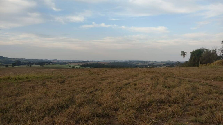 Imagem Fazenda à Venda, 1 m² em Morro Alto - Itapetininga Imagem Fazenda à Venda, 1 m² em Morro Alto - Itapetininga