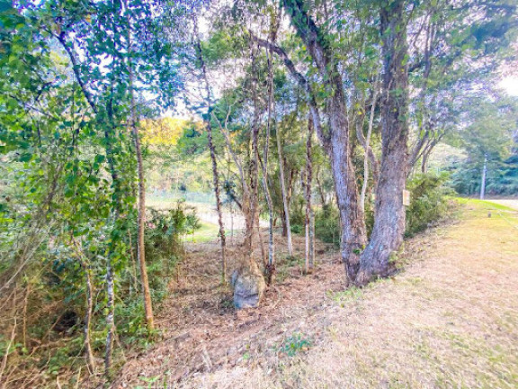 Imagem Terreno à Venda, 322 m² em Vargem Grande - Teresópolis Imagem Terreno à Venda, 322 m² em Vargem Grande - Teresópolis