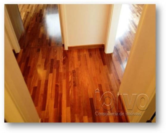 Imagem Apartamento com 3 Quartos à Venda, 80 m² em Vila Clementino - São Paulo