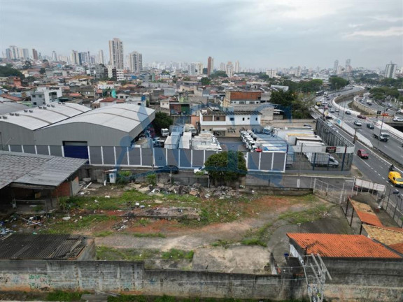Imagem Terreno para Alugar, 350 m² em Aricanduva - São Paulo Imagem Terreno para Alugar, 350 m² em Aricanduva - São Paulo