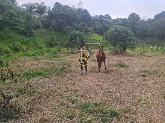 Imagem Imóvel à Venda, 11.000 m² em Jundiaizinho - Mairiporã Imagem Imóvel à Venda, 11.000 m² em Jundiaizinho - Mairiporã