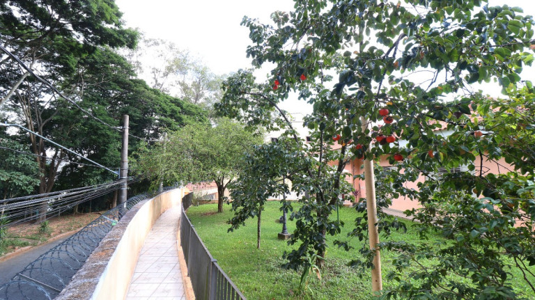 Imagem Casa de Vila com 4 Quartos à Venda, 179 m² em Jardim Peri Peri - São Paulo Imagem Casa de Vila com 4 Quartos à Venda, 179 m² em Jardim Peri Peri - São Paulo