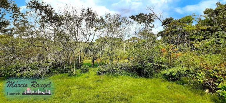 Imagem Imóvel à Venda, 31.000 m² em Caxeta - Campos Dos Goytacazes Imagem Imóvel à Venda, 31.000 m² em Caxeta - Campos Dos Goytacazes