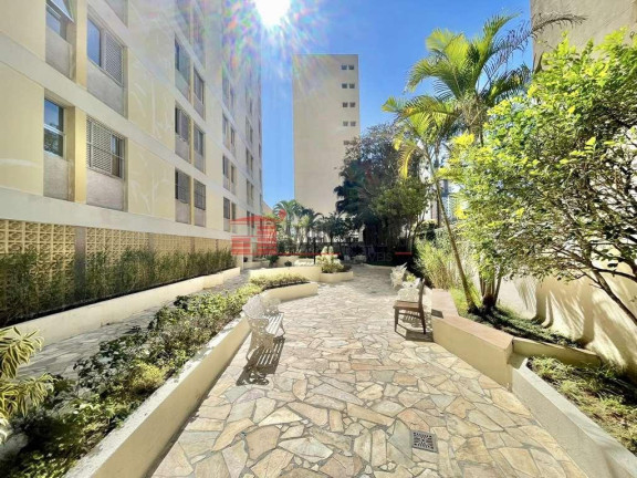 Imagem Apartamento com 3 Quartos à Venda, 84 m² em Vila Romana - São Paulo
