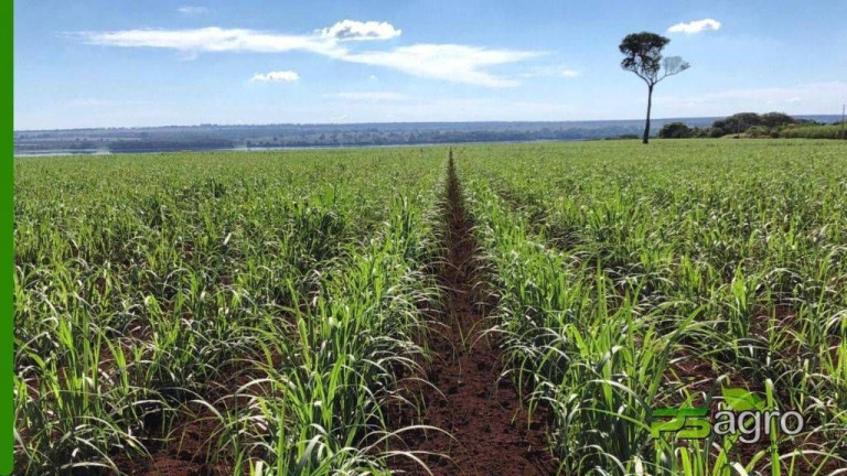 Imagem Fazenda à Venda, 150.766 m² em Centro - Itapura