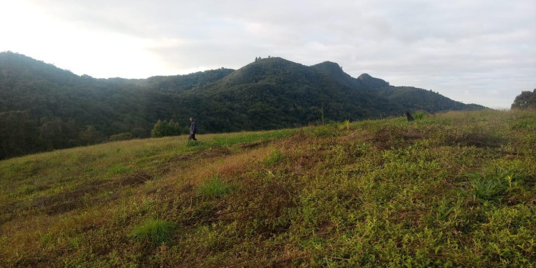 Imagem Imóvel com 3 Quartos à Venda, 47.000 m² em Centro - Campo Largo