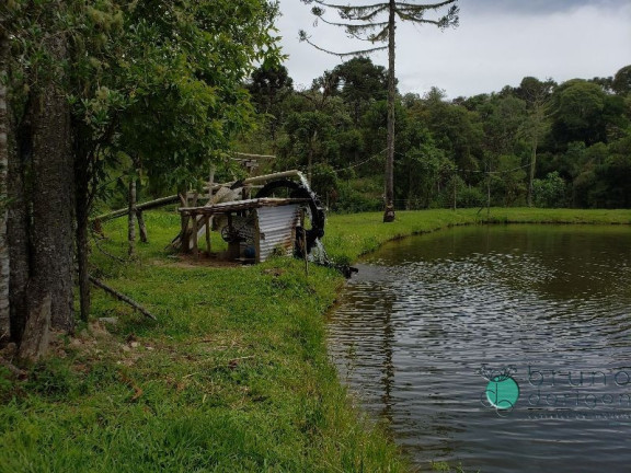 Imagem Imóvel com 3 Quartos à Venda, 350.000 m² em Zona Rural - Bom Retiro