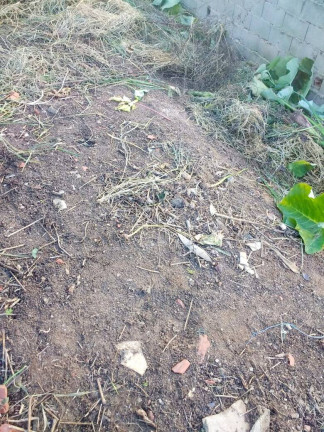 Imagem Terreno à Venda, 200 m² em Riviera Paulista - São Paulo Imagem Terreno à Venda, 200 m² em Riviera Paulista - São Paulo