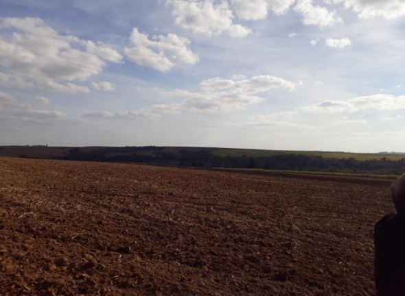 Imagem Fazenda à Venda, 81 m² em Rural - Tietê Imagem Fazenda à Venda, 81 m² em Rural - Tietê
