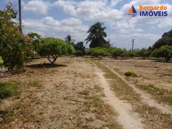 Imagem Fazenda à Venda, 443 m² em Guanaces - Cascavel Imagem Fazenda à Venda, 443 m² em Guanaces - Cascavel