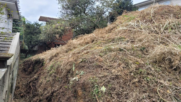 Imagem Terreno à Venda, 748 m² em Costa E Silva - Joinville Imagem Terreno à Venda, 748 m² em Costa E Silva - Joinville